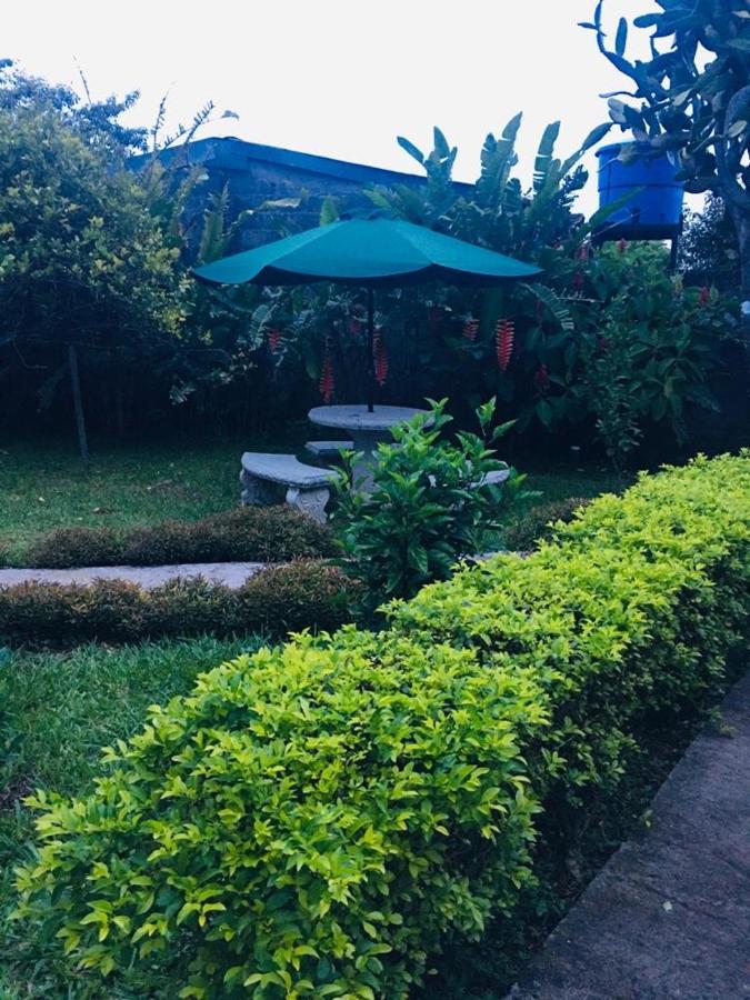 Your House Bed & Breakfast 2*