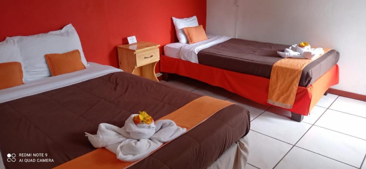 Your House Bed & Breakfast